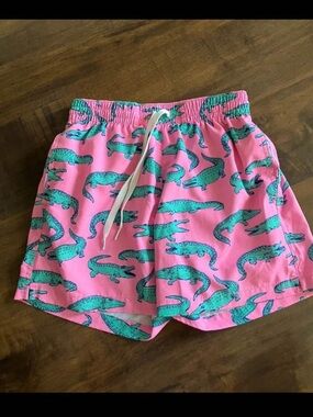 Men’s Chubbies Swimshorts. Size XS